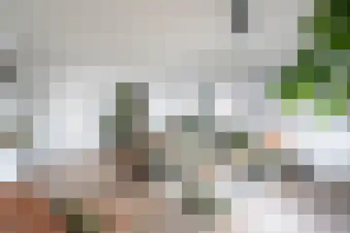 Oostwal 13 Leerdam thumbnail 11