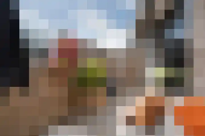 Oostwal 13 Leerdam thumbnail 14