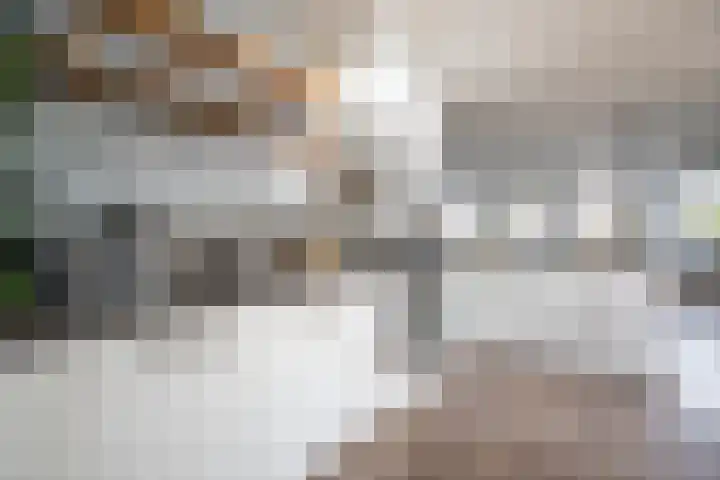 Oostwal 13 Leerdam thumbnail 19