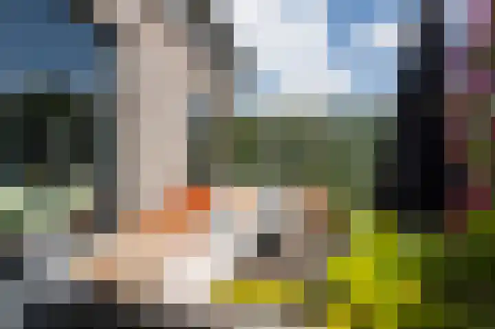 Oostwal 13 Leerdam thumbnail 4