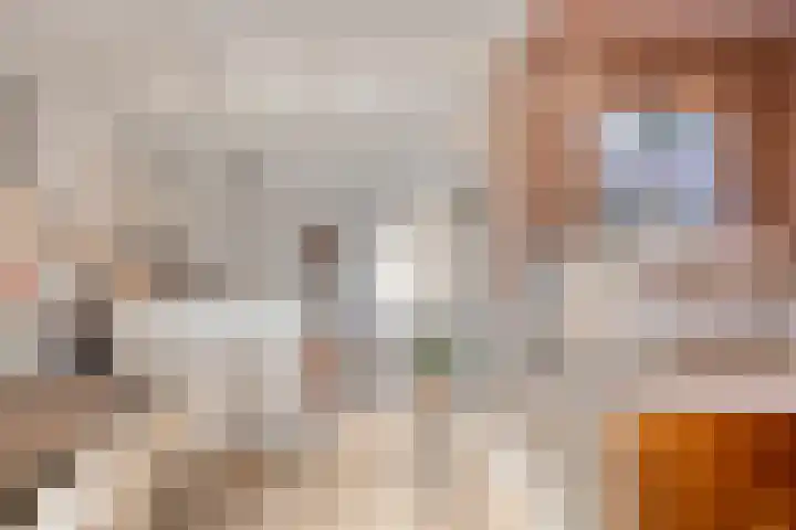 Oostwal 15 Oldenzaal thumbnail 12