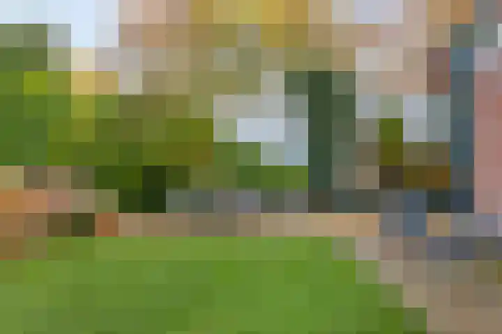 Oostwal 15 Oldenzaal thumbnail 31