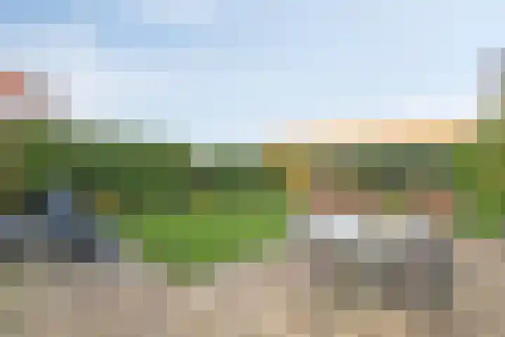 Oostwal 15 Oldenzaal thumbnail 32
