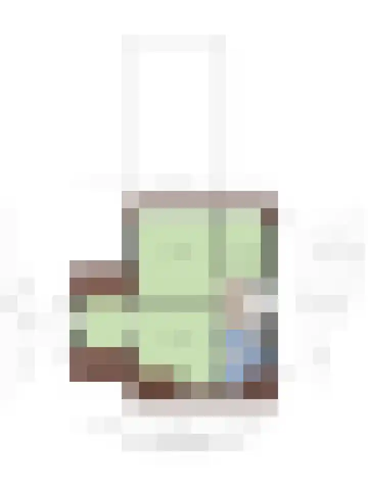 Oostwal 15 Oldenzaal thumbnail 41