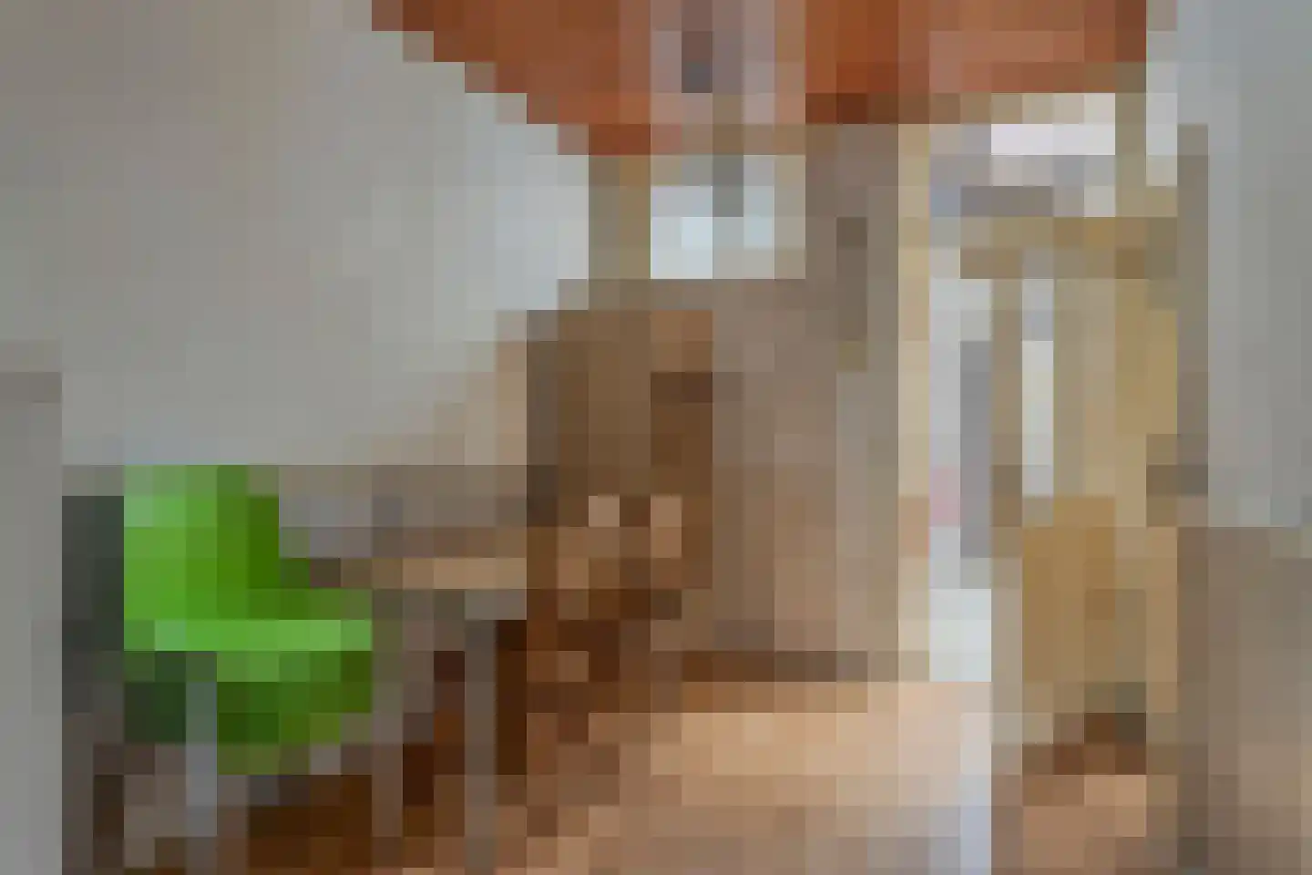 Oostwal 18 Oss thumbnail 11