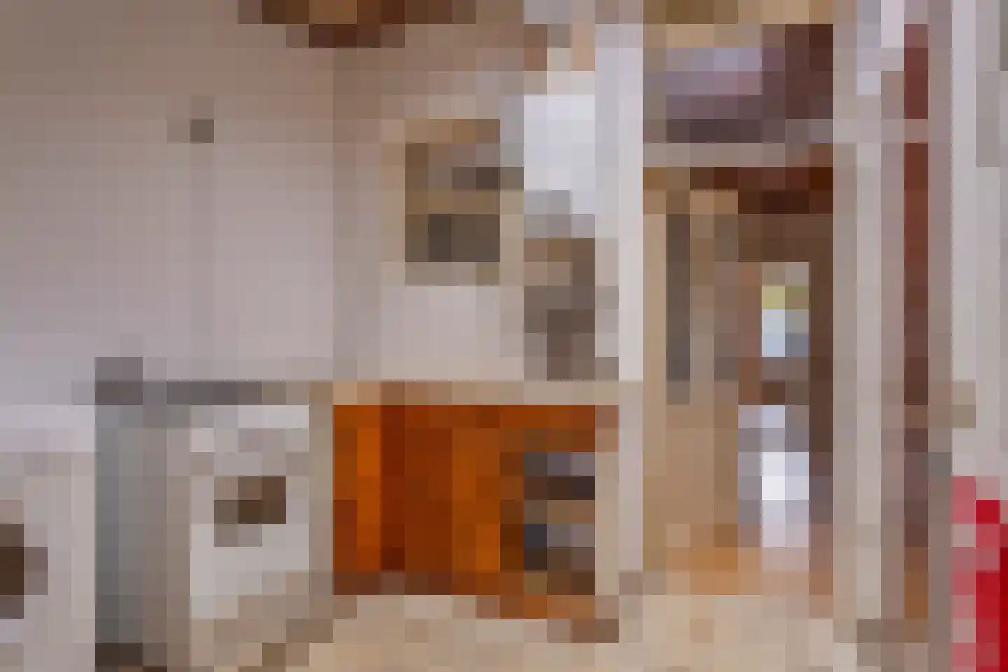 Oostwal 18 Oss thumbnail 13