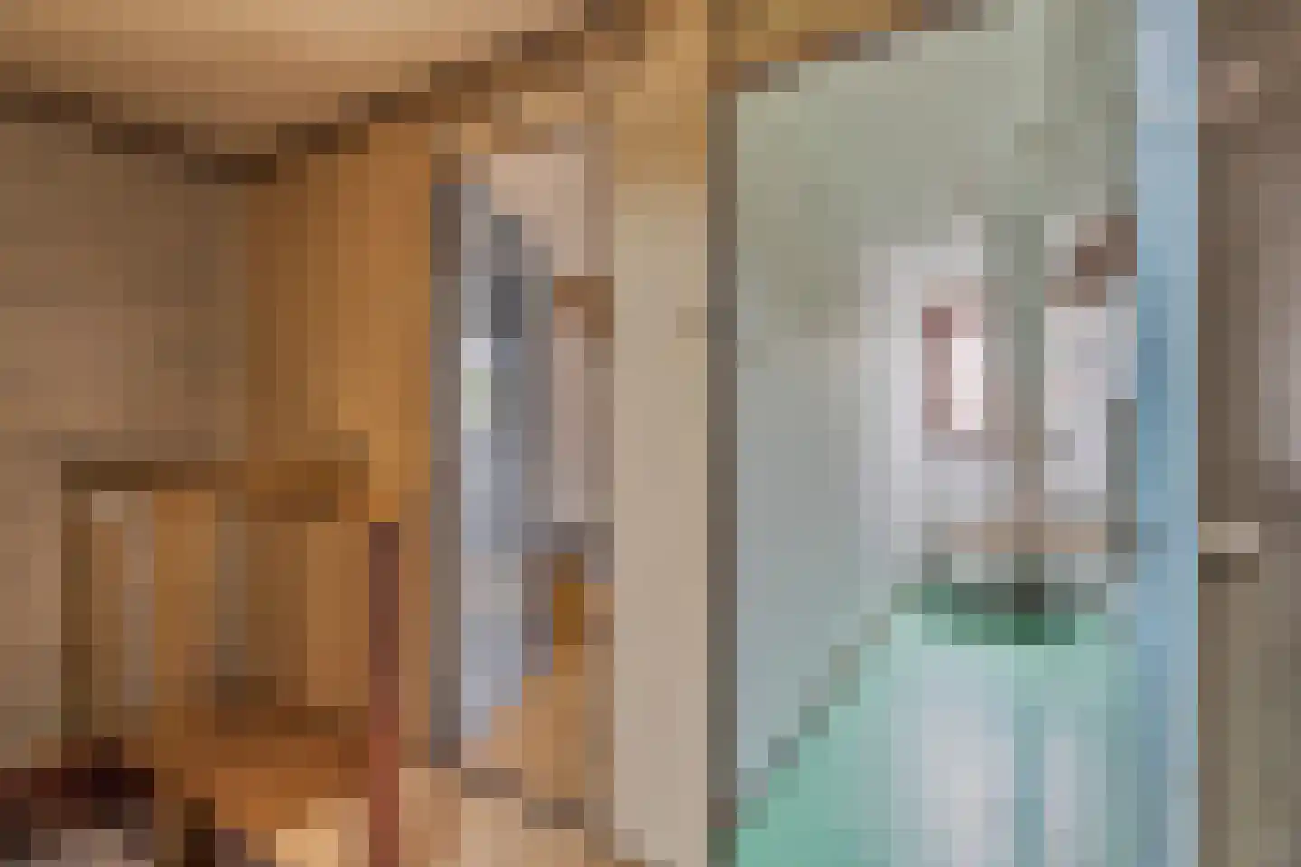 Oostwal 18 Oss thumbnail 17