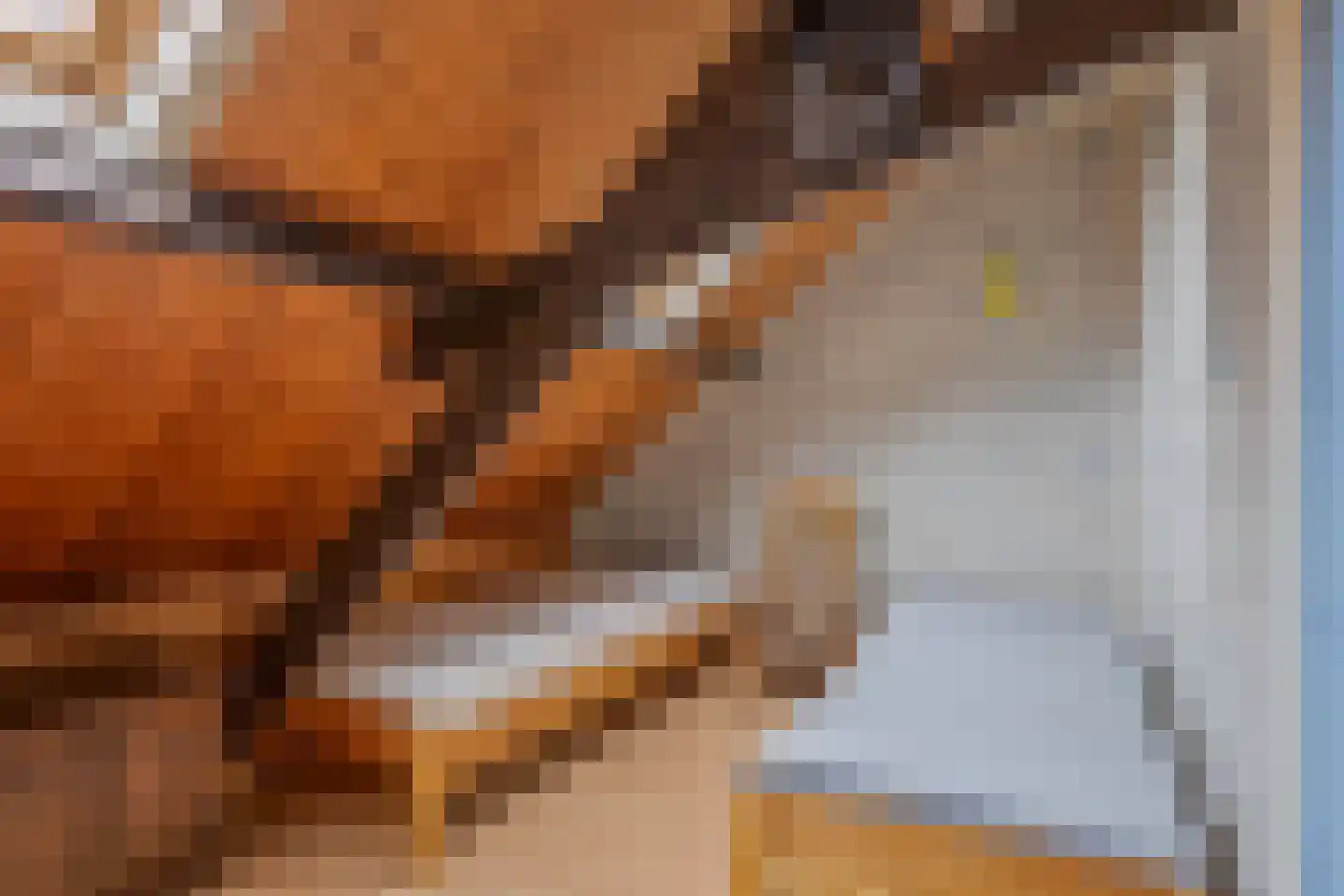 Oostwal 18 Oss thumbnail 18