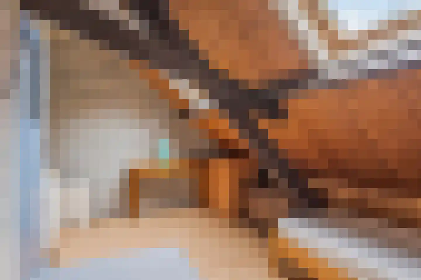 Oostwal 18 Oss thumbnail 19