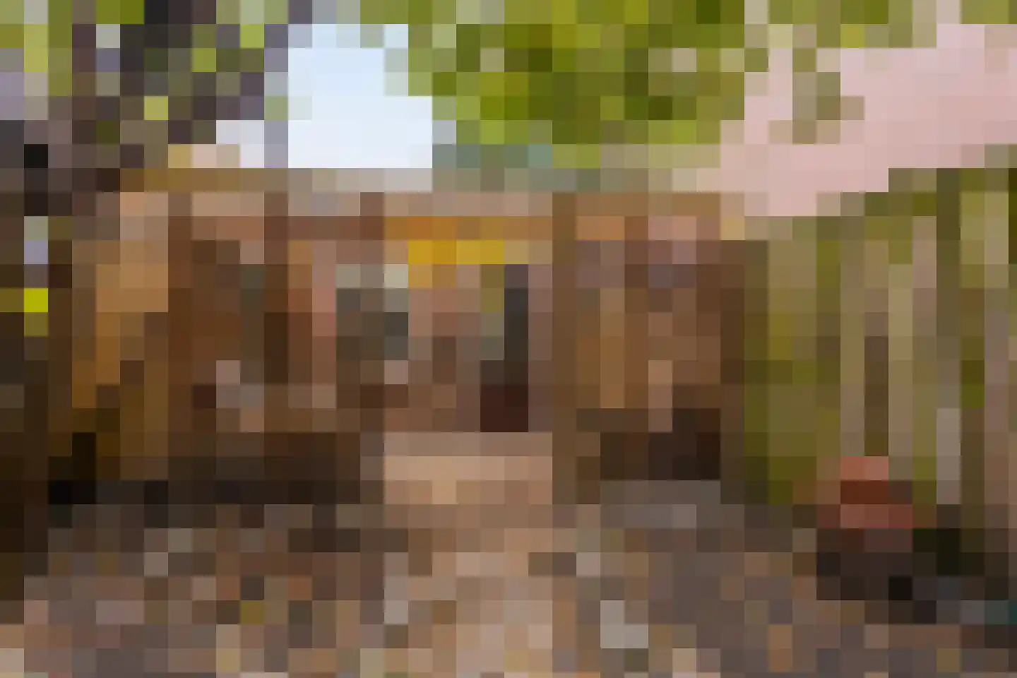 Oostwal 18 Oss thumbnail 5