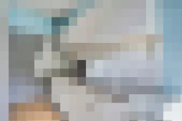 Oostwal 182 Oss thumbnail 10