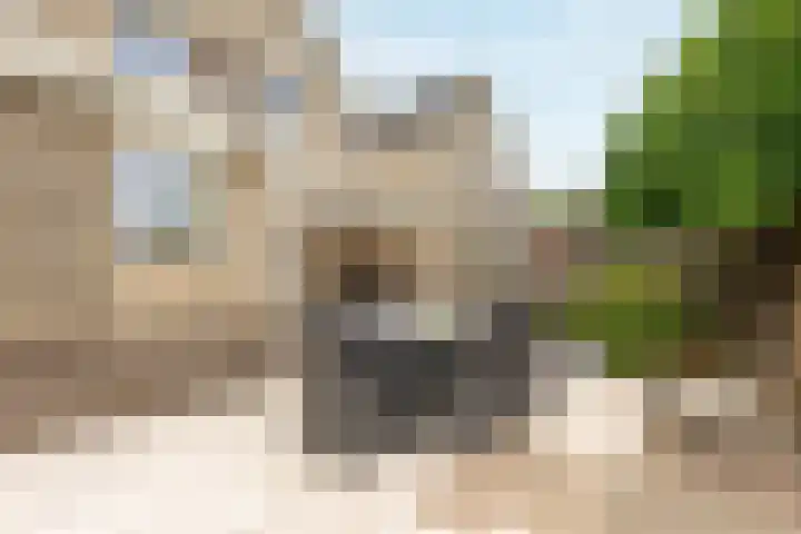 Oostwal 182 Oss thumbnail 20