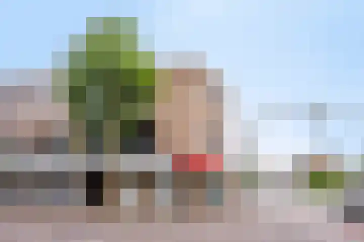 Oostwal 182 Oss thumbnail 20