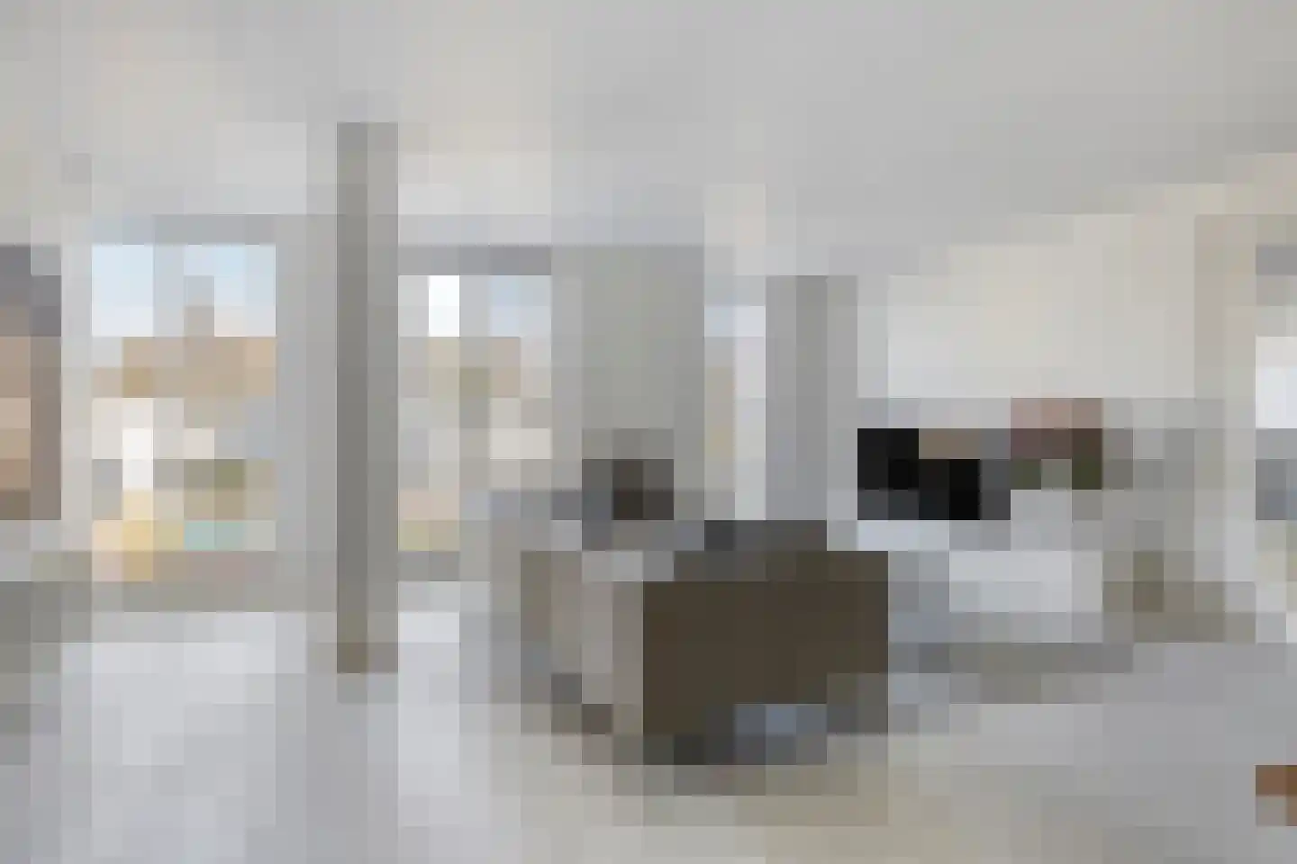 Oostwal 202 B Oss thumbnail 10