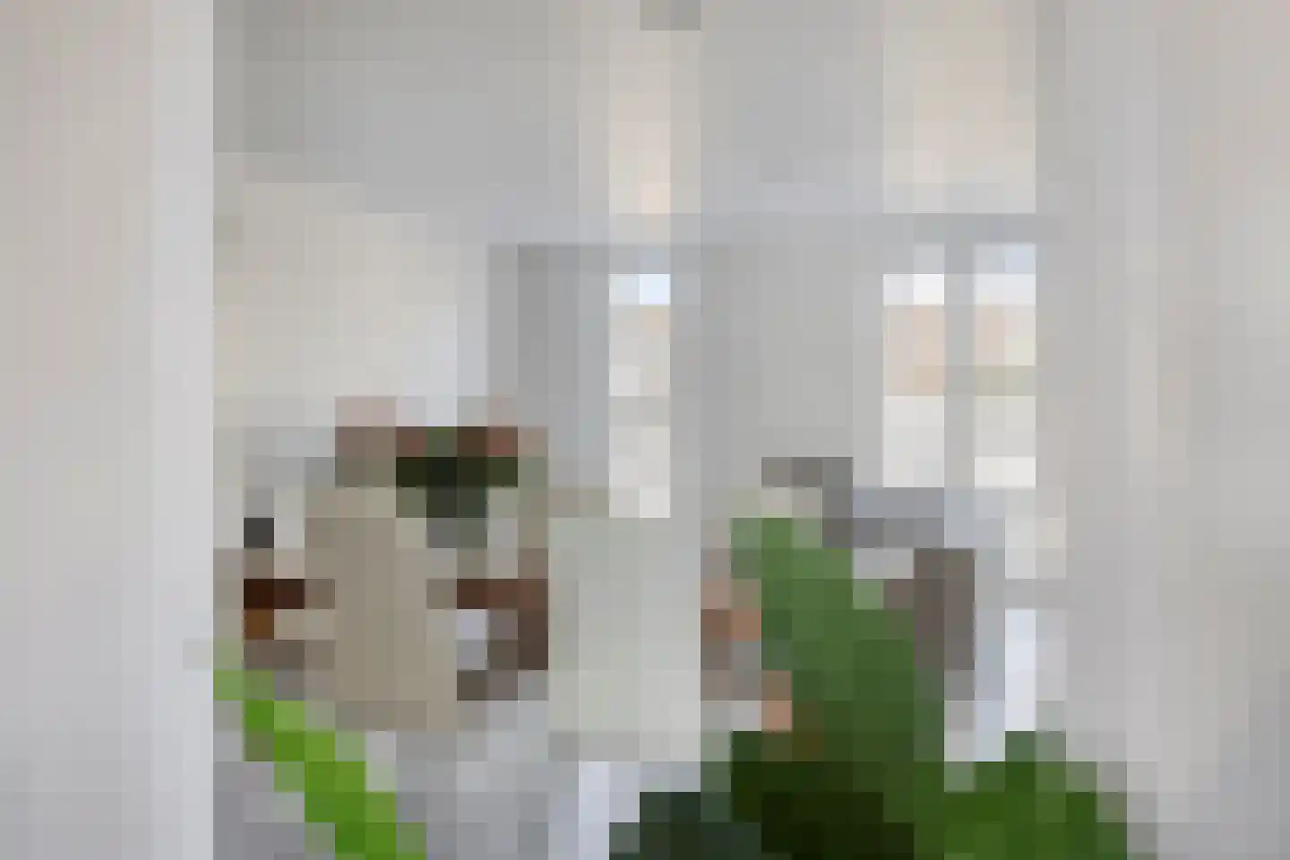 Oostwal 202 B Oss thumbnail 18