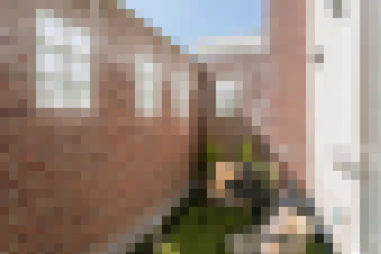 Oostwal 202 B Oss thumbnail 42