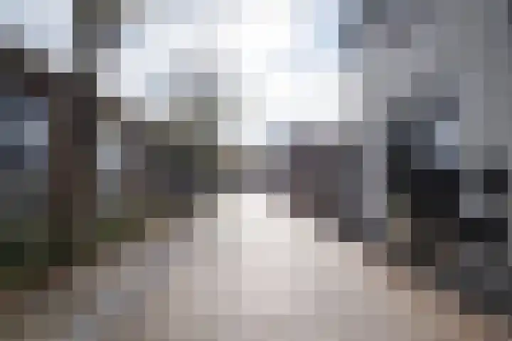 Oostwal 3 a Leerdam thumbnail 24