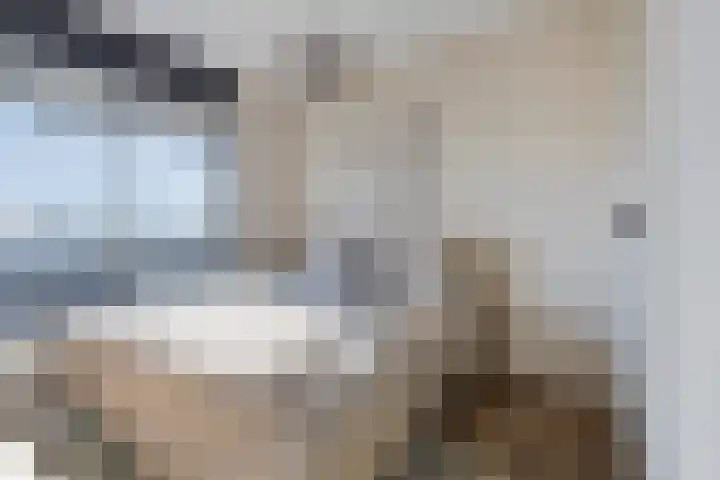 Oostwal 323 Oss thumbnail 11