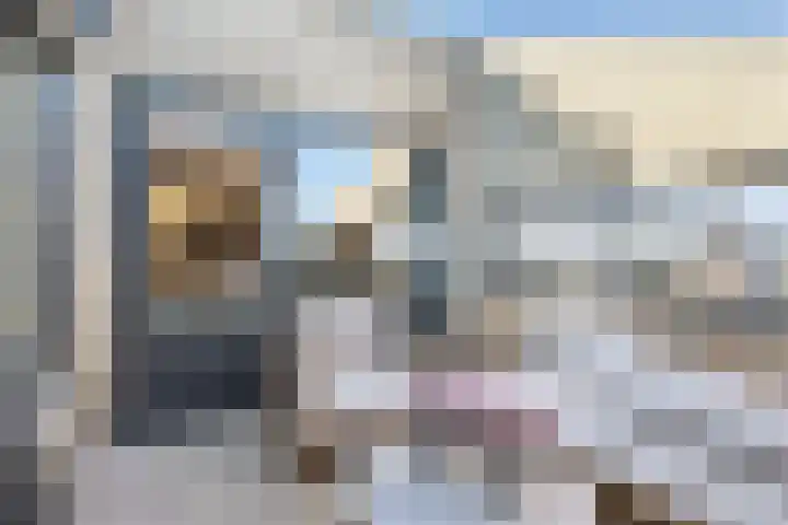 Oostwal 323 Oss thumbnail 15