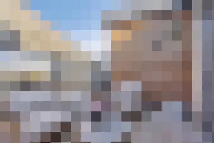 Oostwal 323 Oss thumbnail 16
