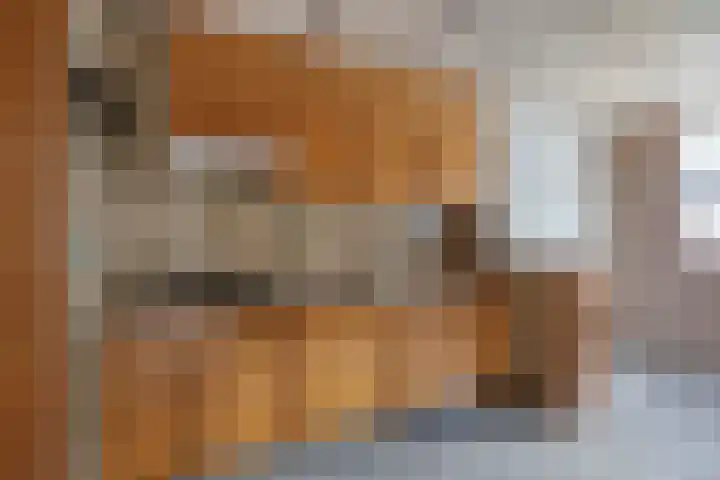 Oostwal 323 Oss foto 2