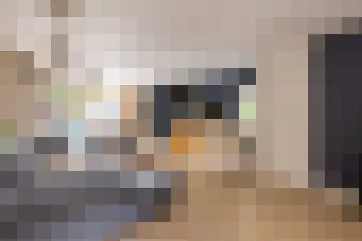 Oostwal 323 Oss thumbnail 22