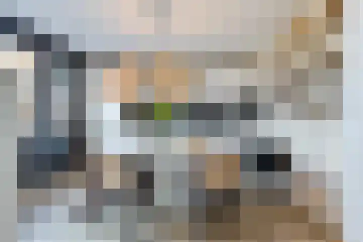 Oostwal 323 Oss foto 3