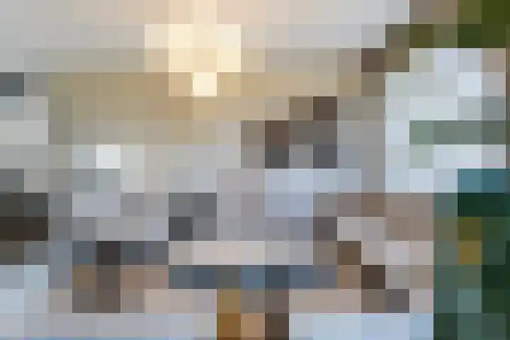 Oostwal 323 Oss thumbnail 5