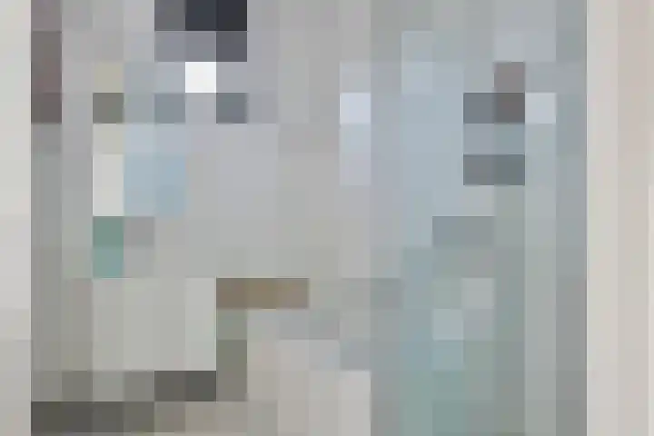 Oostwal 323 Oss thumbnail 8