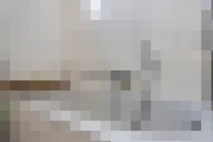 Oostwal 323 Oss thumbnail 9