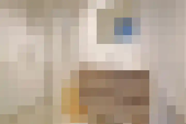 Oostwal 34 18 Goes thumbnail 10