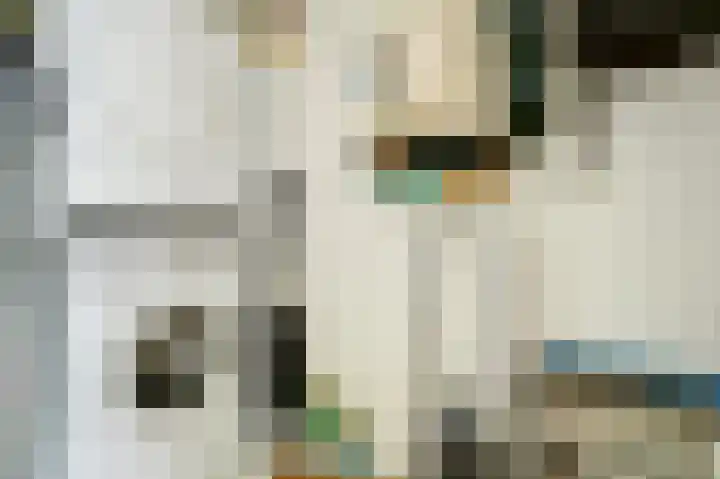 Oostwal 34 18 Goes thumbnail 11