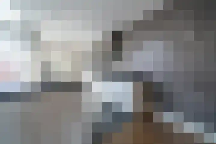 Oostwal 4 Volendam thumbnail 14