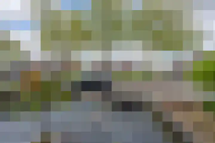 Oostwal 4 Volendam thumbnail 5