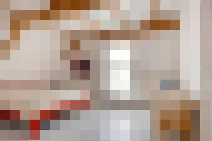 Oostwal 5 Oldenzaal thumbnail 17