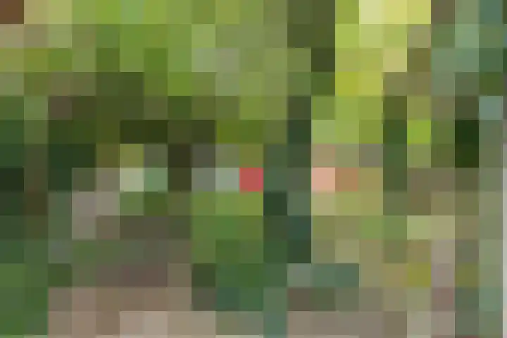 Oostwal 5 Oldenzaal thumbnail 28
