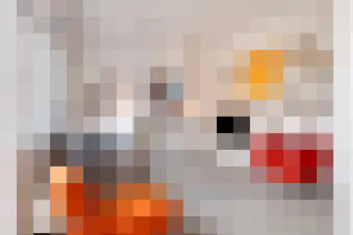 Oostwal 5 Oldenzaal thumbnail 4
