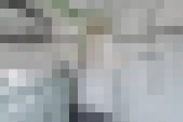 Oostweg 3 Kapelle thumbnail 30