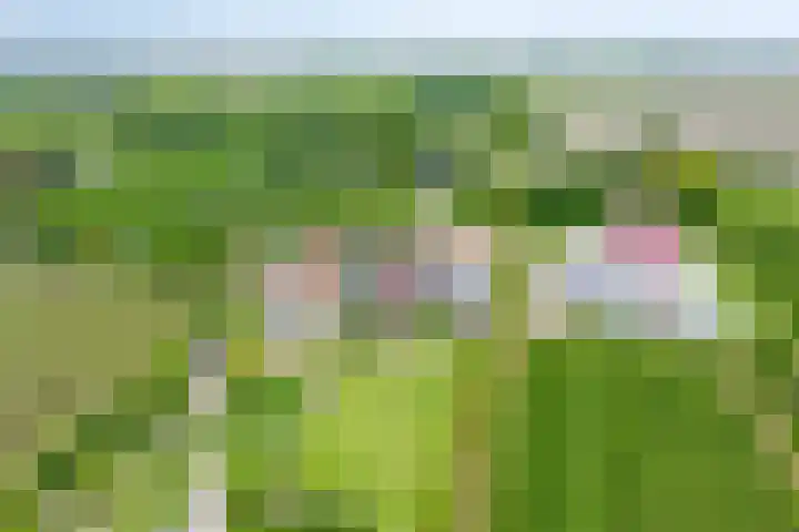 Oostweg 3 Kapelle thumbnail 40