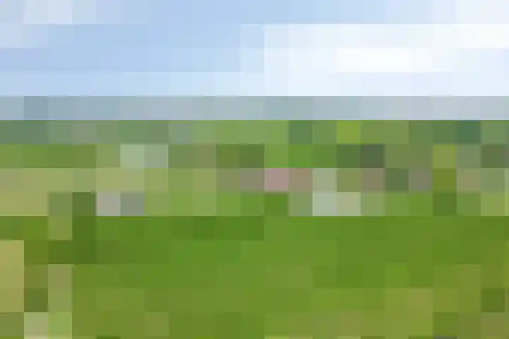 Oostweg 3 Kapelle thumbnail 41