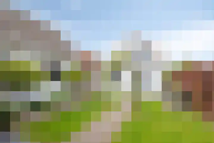 Oostweg 3 Kapelle thumbnail 7