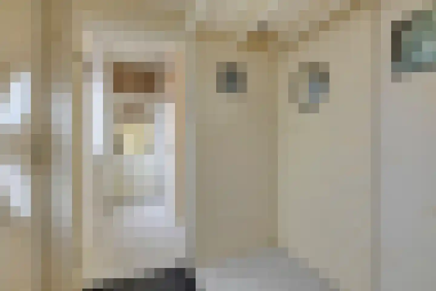 Oostwijk 25 Linschoten thumbnail 5