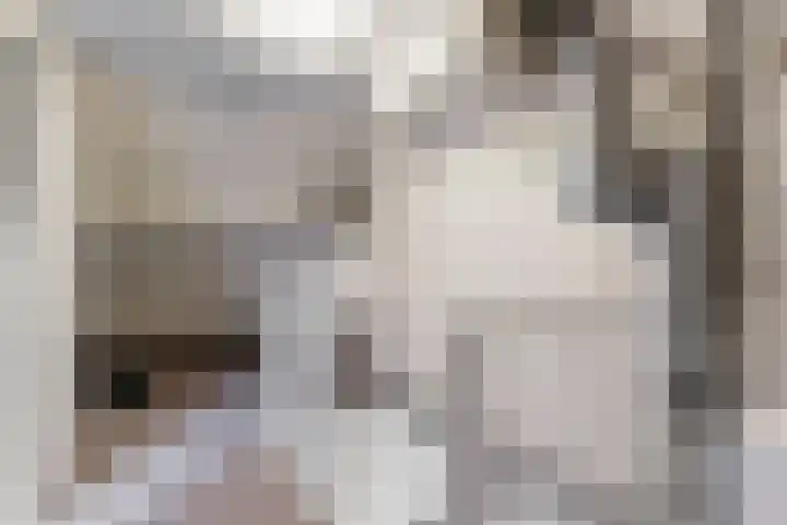Op de Aks 7 Beek thumbnail 26