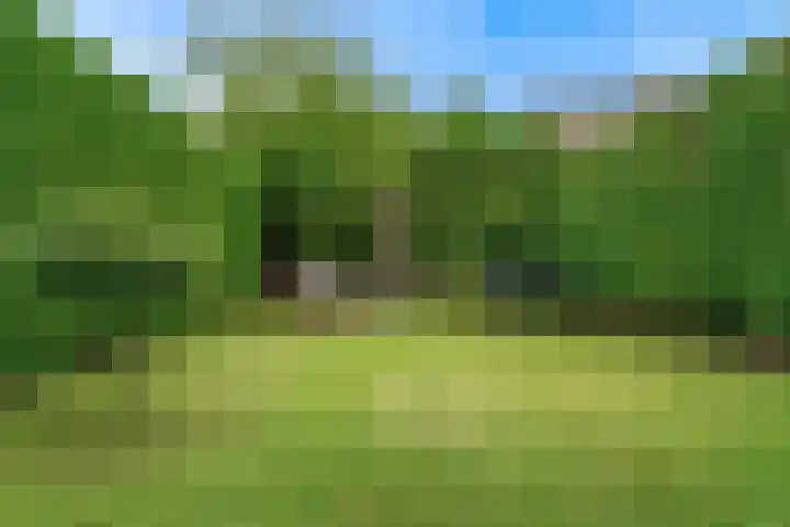 Op de Aks 7 Beek thumbnail 30