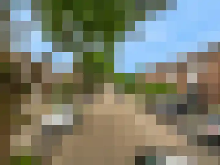 Op de Aks 7 Beek thumbnail 37