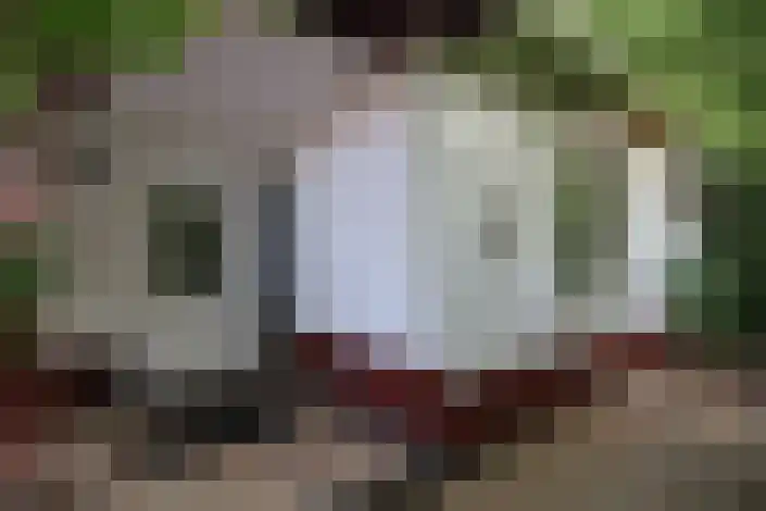 Op de Berg 6 Bunde thumbnail 4