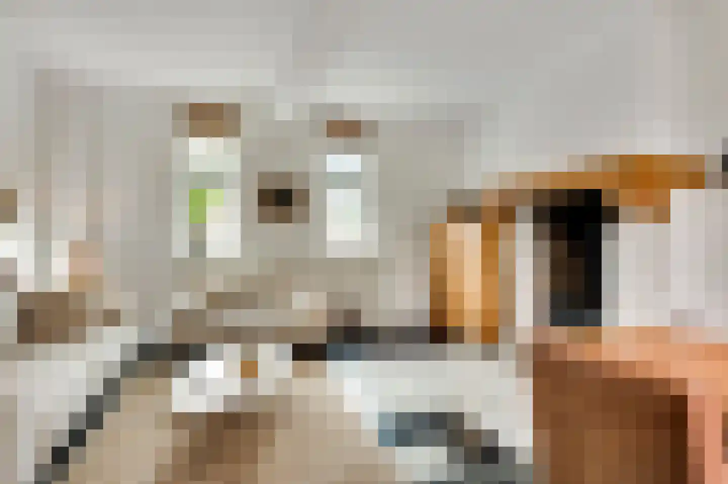 Op de Berg 7 Elsloo thumbnail 16