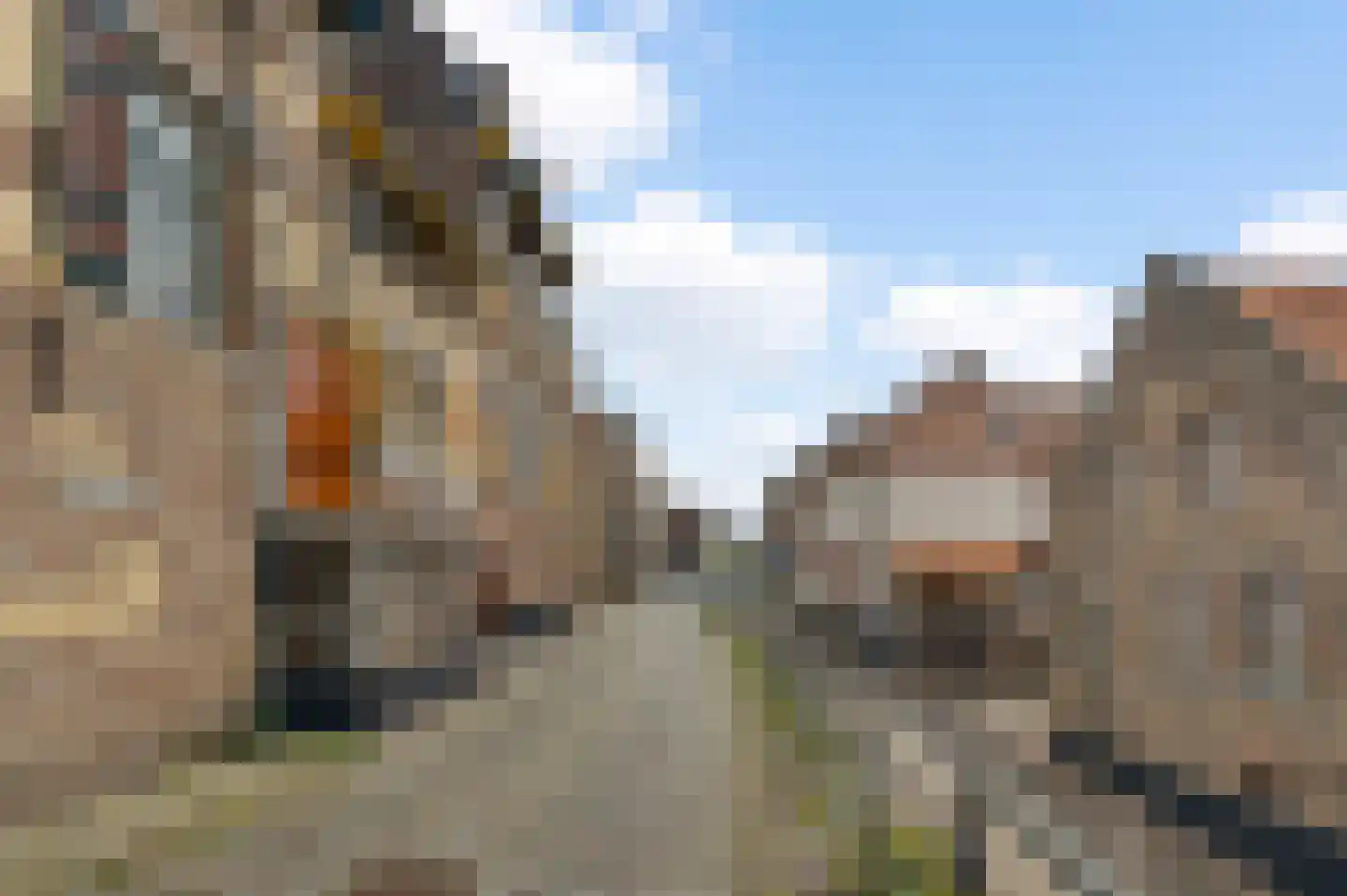 Op de Berg 7 Elsloo foto 3