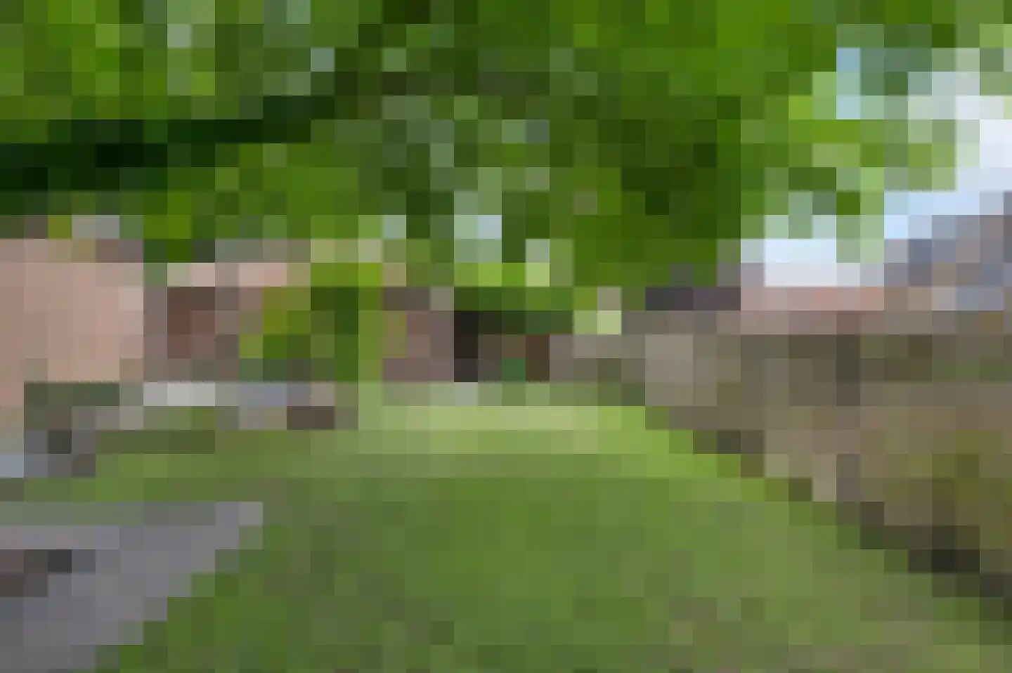 Op de Berg 7 Elsloo thumbnail 36
