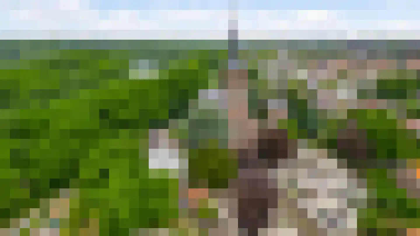 Op de Berg 7 Elsloo thumbnail 45
